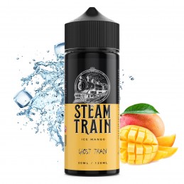 Steam Train - Ghost Train...