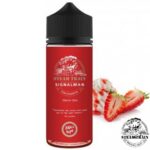 Steam Train Signalman Flavor Shots