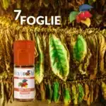 Flavour Art 7 Foglie Concentrate 10ml