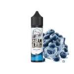 Terror Train (by Steam Train) Blueberry Ice