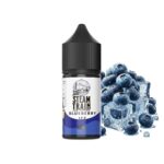 Terror Train (by Steam Train) Blueberry Ice