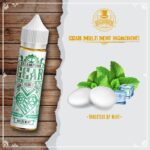 SteamPunk Flavor Shots Gear Multi Mint 60ml