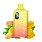 Elfbar EB10000 Refillable Device Triple Mango 2ml 20mg